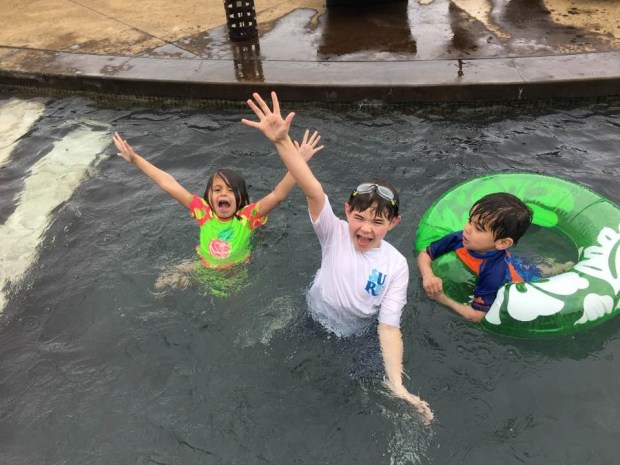 983910_766143846874715_1316082719099344413_n